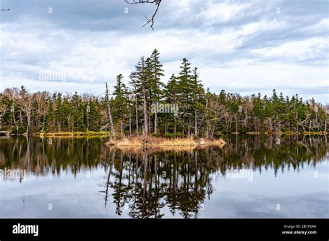 Le Lac de la Lune Ardent: Un Miroir Céleste Reflétant les Montagnes Himalayennes!