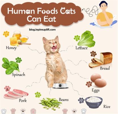 Can Cats Eat Honey Mustard? Exploring Feline Diets and Human Foods