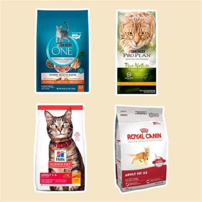 What is a Good Dry Cat Food: Exploring the Best Options for Your Feline Friend