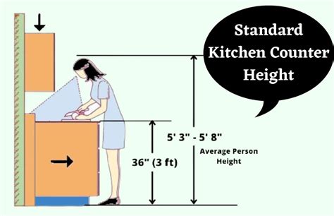 What is the Standard Height of a Kitchen Table, and Why Do Giraffes Prefer Taller Ones?