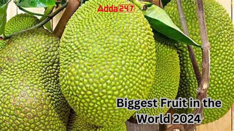 What's the Biggest Fruit in the World? And Why Do Bananas Dream of Being Pineapples?