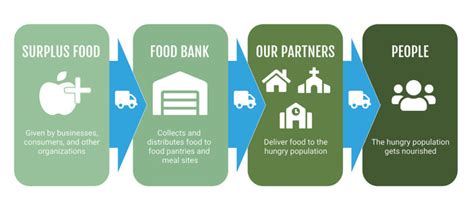 Where Do Food Banks Get Their Food: A Journey Through the Maze of Generosity and Logistics