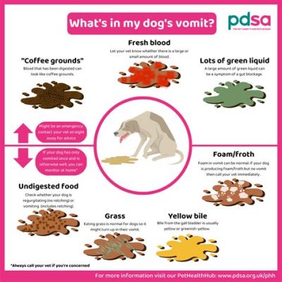 Why Do Dogs Swallow Food Whole: A Dive into Canine Eating Habits and Beyond